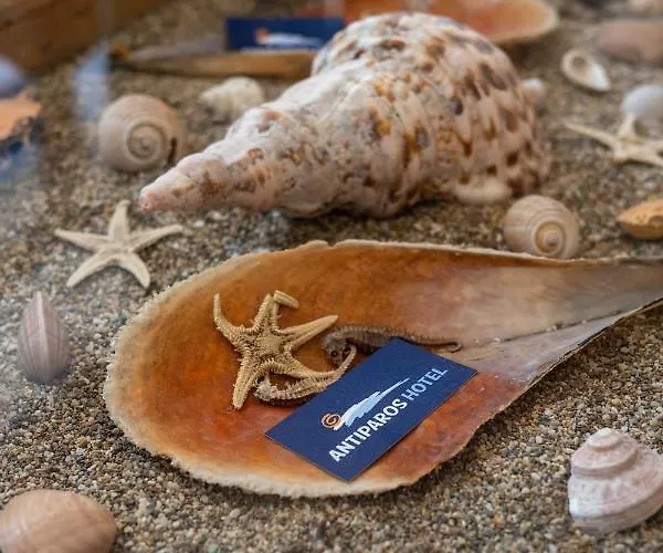 Ξενοδοχείο Αντίπαρος Ξενοδοχείο *