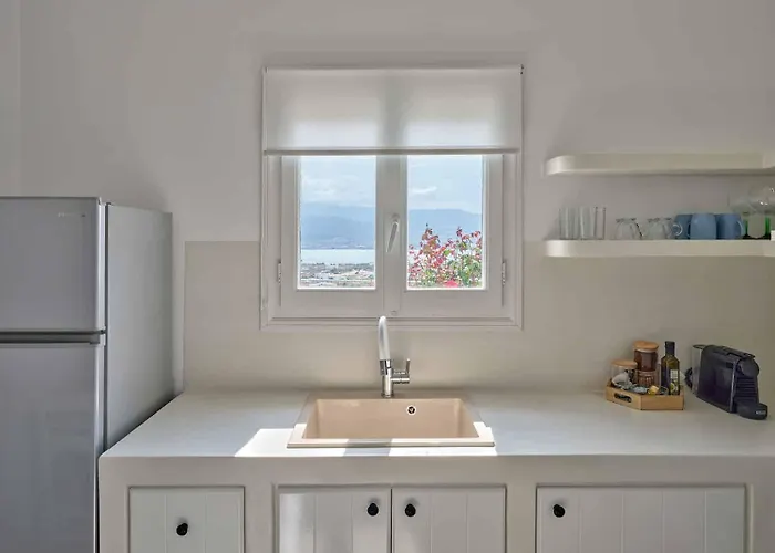 Ξενοδοχείο Ξενοδοχείο Αντίπαρος Αντίπαρος